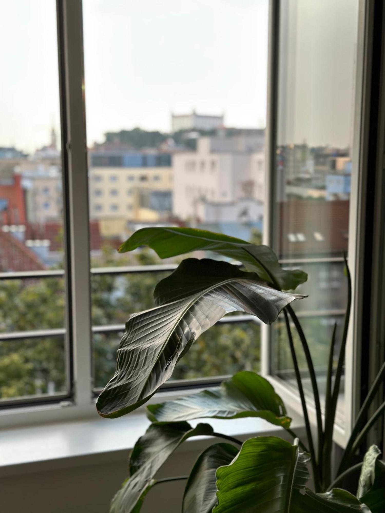 Urban Zenhouse No.2 - Breakfast Included Appartement Bratislava Buitenkant foto